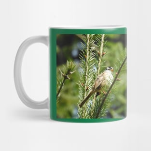 White crowned sparrow, birds, wildlife, nature, gifts Mug